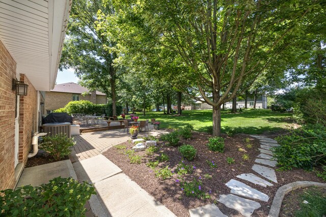 13542 S Erin Dr, Homer Glen, IL 60491 - view of grassy yard with a deck