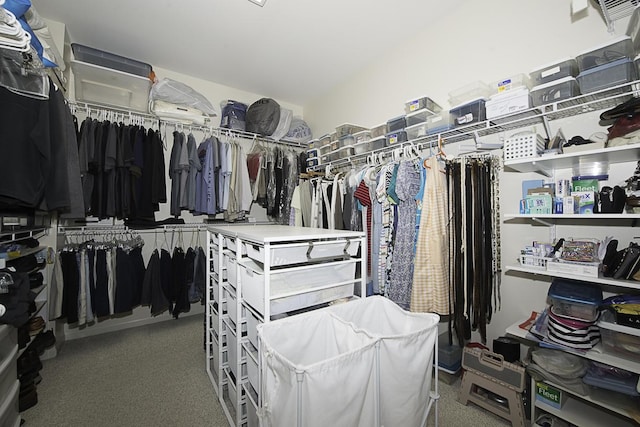 11642 Sunderlin Dr, Huntley, IL 60142 - walk in closet featuring carpet