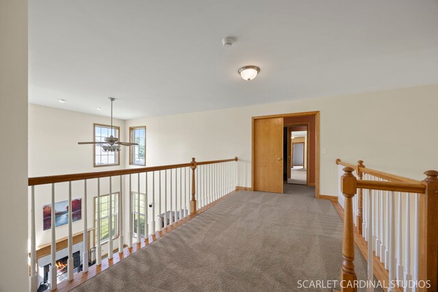 6307 Carmel Dr, Plainfield, IL 60586 - photo 15