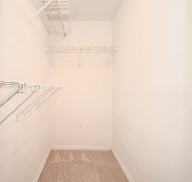 3006 Edina Blvd, Zion, IL 60099 - photo 10