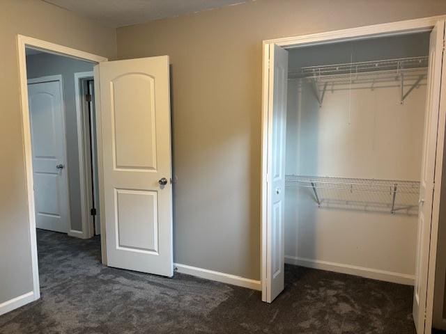 1038 Ruth Crane Dr, Rantoul, IL 61866 - unfurnished bedroom with dark colored carpet and a closet