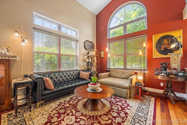 251 Abington Ln, North Aurora, IL 60542 - living room featuring wood finished floors and high vaulted ceiling
