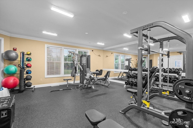 229 Lakeshore Dr, Oswego, IL 60543 - workout area with crown molding