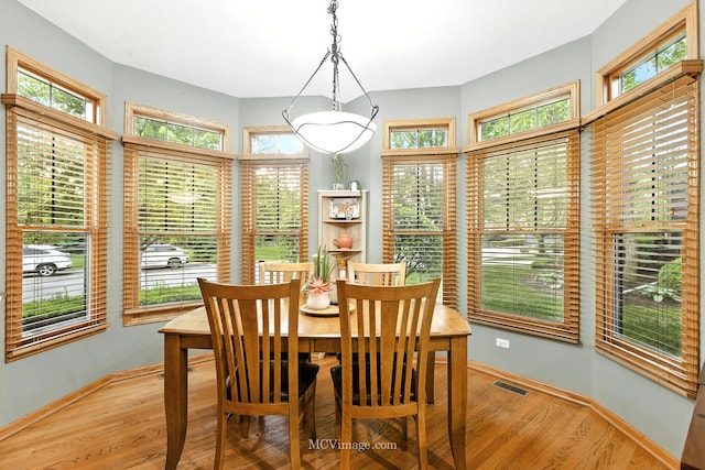 21730 Higley Ln, Frankfort, IL 60423 - dining room with light wood finished floors and baseboards