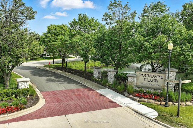 21730 Higley Ln, Frankfort, IL 60423 - view of home's community