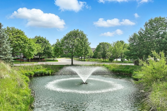 21730 Higley Ln, Frankfort, IL 60423 - view of community featuring a water view