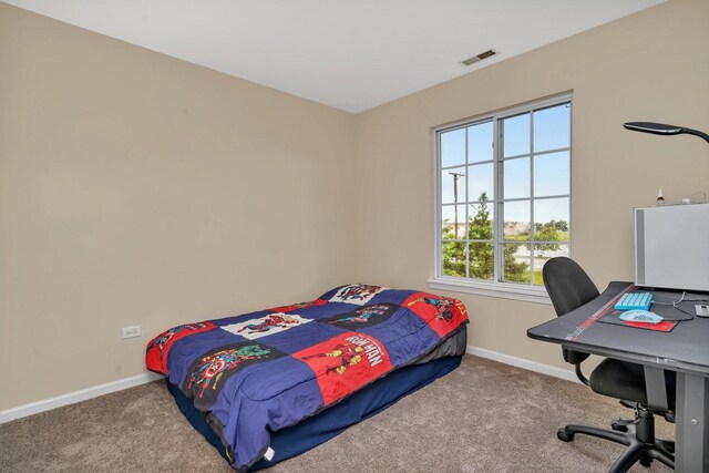 1439 Plantain Dr, Minooka, IL 60447 - photo 19