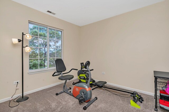 1439 Plantain Dr, Minooka, IL 60447 - photo 21