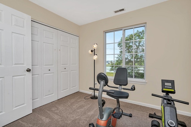 1439 Plantain Dr, Minooka, IL 60447 - photo 22