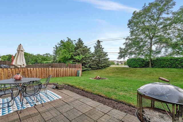 1439 Plantain Dr, Minooka, IL 60447 - photo 25