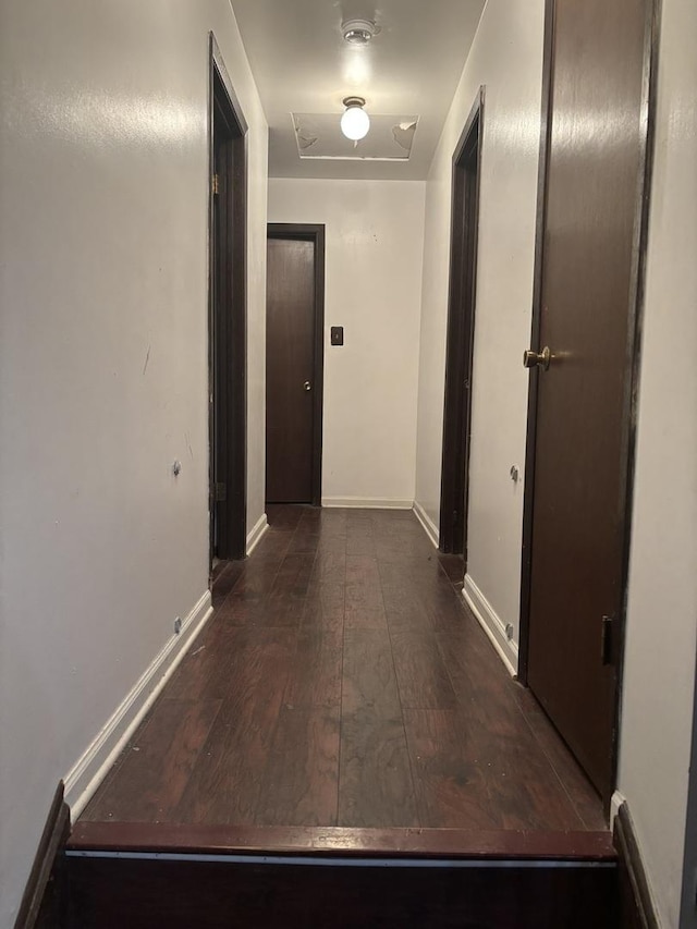 744 Academy Ave, Matteson, IL 60443 - hall with dark wood-style flooring and baseboards