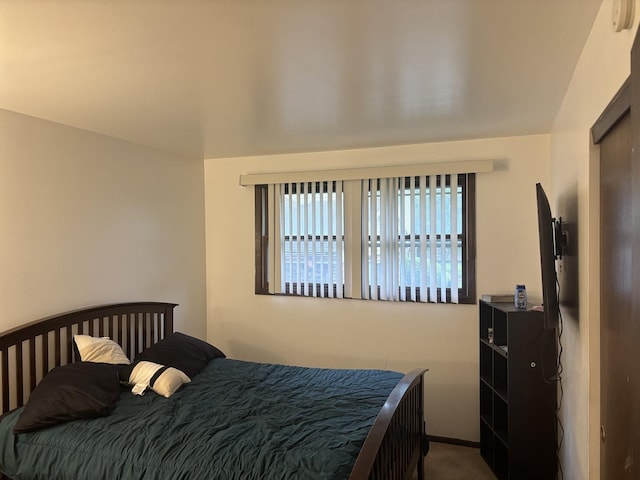 744 Academy Ave, Matteson, IL 60443 - bedroom with multiple windows and carpet flooring