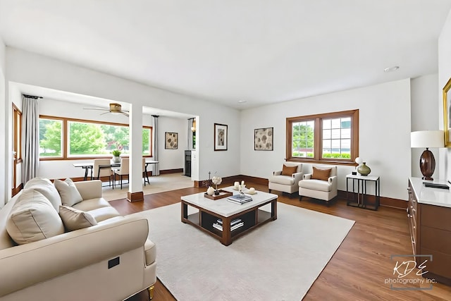330 S Maple St, Itasca, IL 60143 - living room with plenty of natural light, wood finished floors, and a ceiling fan