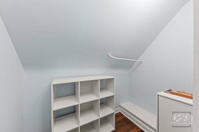 330 S Maple St, Itasca, IL 60143 - walk in closet featuring dark wood finished floors