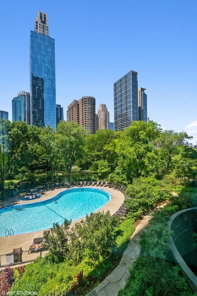 505 N Lake Shore Dr Unit 516, Chicago, IL 60611 - community pool featuring a skyline view and a patio