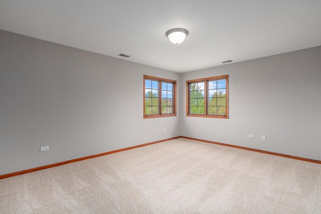 22715 Maddeline Ln, Frankfort, IL 60423 - photo 32