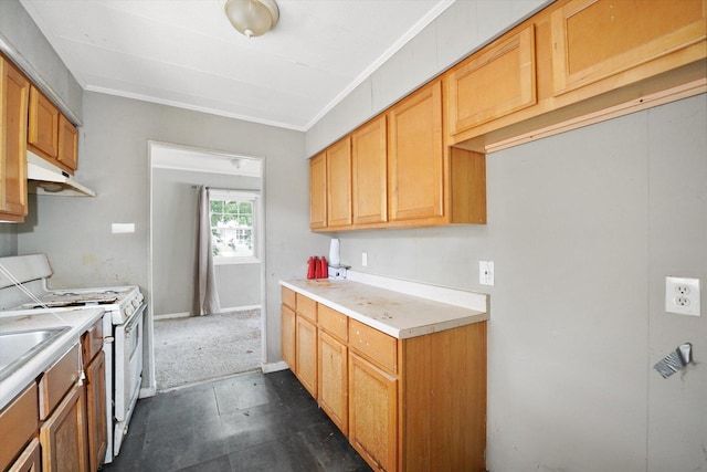 1616 Wilcox St, Crest Hill, IL 60435 - kitchen featuring white range oven, light countertops, crown molding, and under cabinet range hood