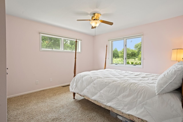 13 Golfview Dr, Savoy, IL 61874 - photo 30