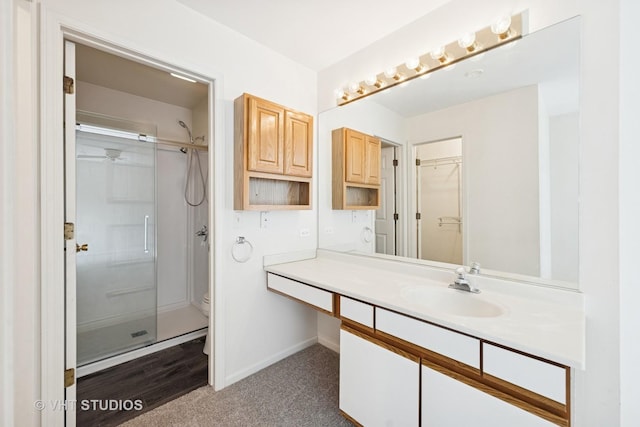 614 Hillview Ct, West Chicago, IL 60185 - bathroom featuring a stall shower, vanity, and a walk in closet