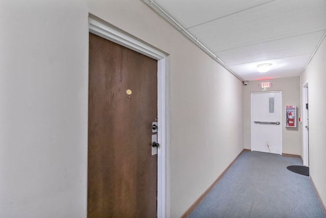 5011 Valley Ln Unit 201, Streamwood, IL 60107 - hallway with carpet flooring and baseboards