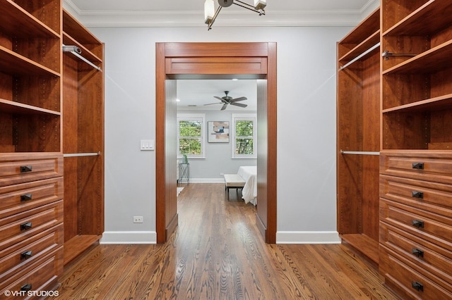 3715 N Wayne Ave, Chicago, IL 60613 - spacious closet featuring wood finished floors and ceiling fan