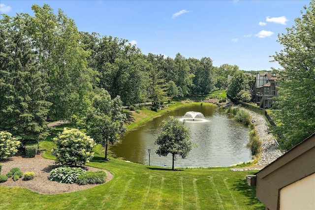 10401 Lismore Ct, Orland Park, IL 60462 - water view
