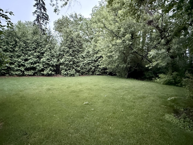 3N802 Bittersweet Rd, Saint Charles, IL 60175 - photo 34