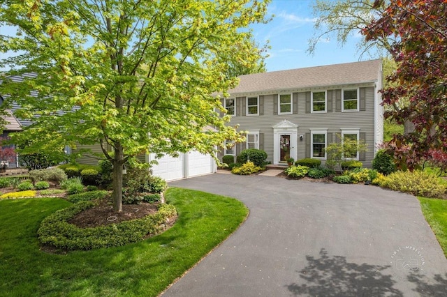 1228 N W St, Naperville, IL 60563 - colonial house with driveway, a front lawn, and a garage