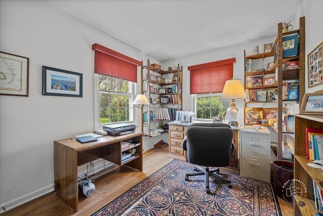 1228 N W St, Naperville, IL 60563 - office space featuring healthy amount of natural light and wood finished floors