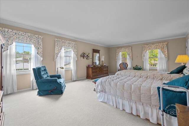 1228 N W St, Naperville, IL 60563 - carpeted bedroom with crown molding and baseboards