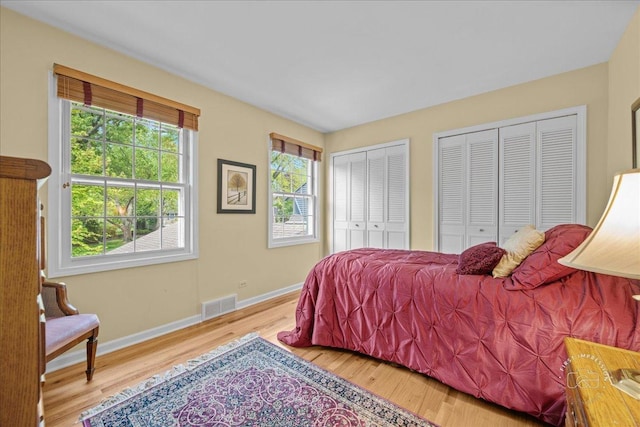 1228 N W St, Naperville, IL 60563 - bedroom featuring multiple closets and wood finished floors