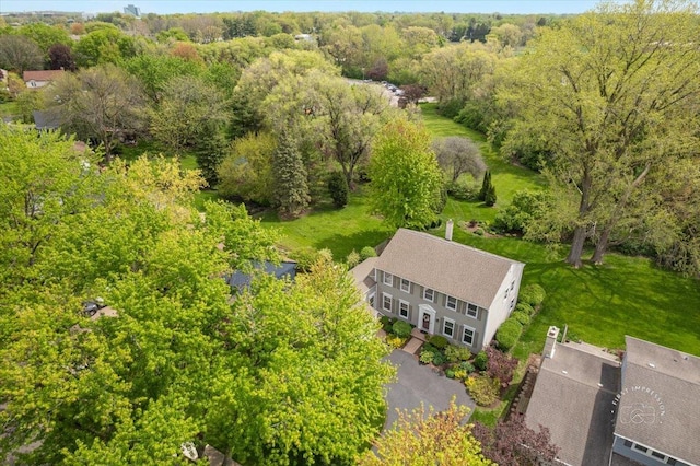 1228 N W St, Naperville, IL 60563 - drone / aerial view of a heavily wooded area