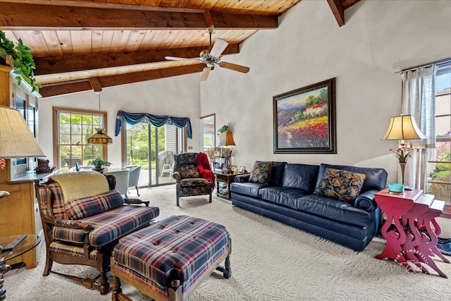 1228 N W St, Naperville, IL 60563 - living area with carpet, healthy amount of natural light, a wooden ceiling with exposed beams, ceiling fan, and high vaulted ceiling