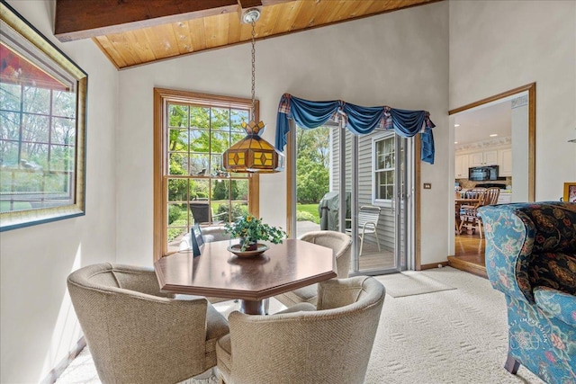 1228 N W St, Naperville, IL 60563 - dining area with vaulted ceiling, light colored carpet, and wooden ceiling