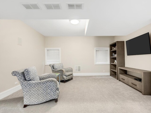 724 S Madison St, Hinsdale, IL 60521 - photo 32