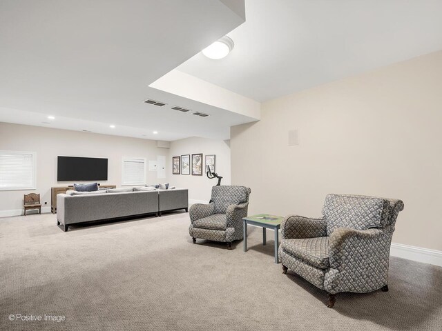 724 S Madison St, Hinsdale, IL 60521 - photo 33