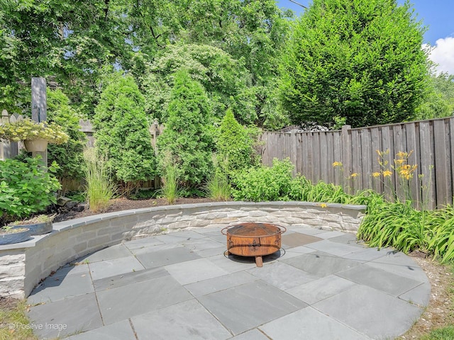 724 S Madison St, Hinsdale, IL 60521 - photo 38