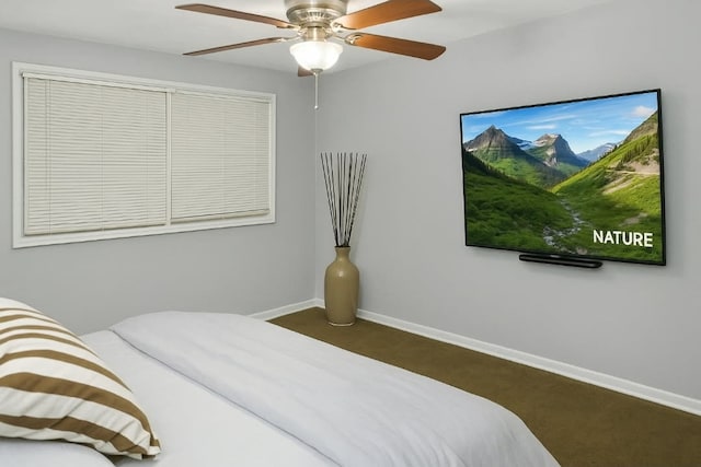 301 Cornell Ave, Calumet City, IL 60409 - bedroom with carpet and a ceiling fan