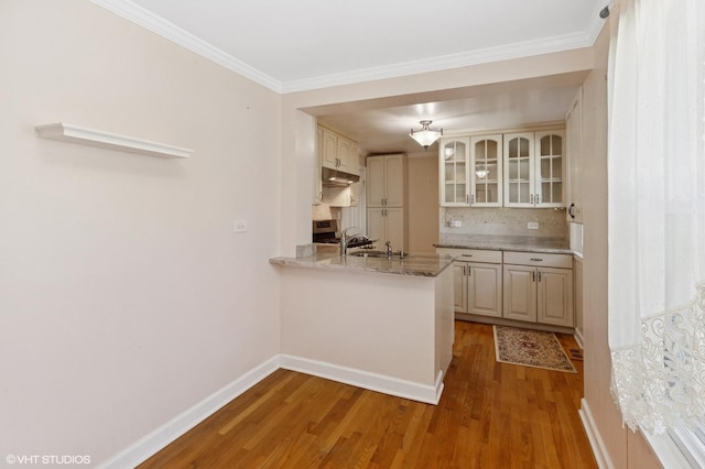 3837 Kirk St, Skokie, IL 60076 - kitchen featuring wood finished floors, under cabinet range hood, glass insert cabinets, decorative backsplash, and a peninsula