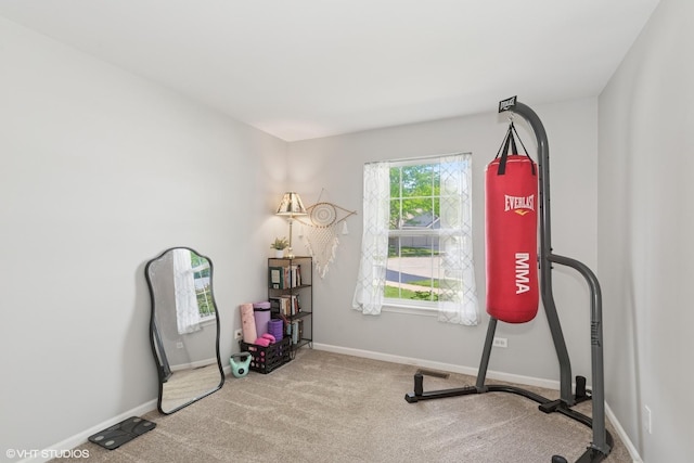 1228 N Red Oak Cir Unit 2, Round Lake Beach, IL 60073 - photo 16