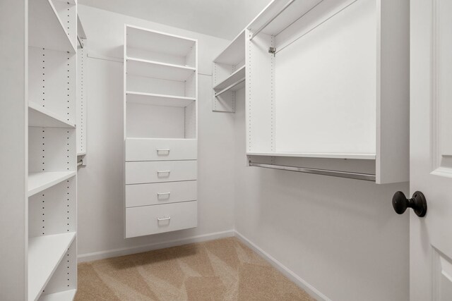 5303 Commonwealth Ave Unit 5303, Western Springs, IL 60558 - photo 16