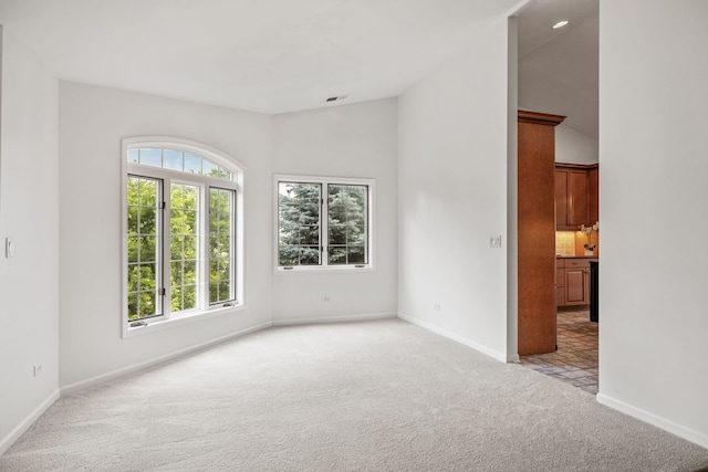 5303 Commonwealth Ave Unit 5303, Western Springs, IL 60558 - photo 6