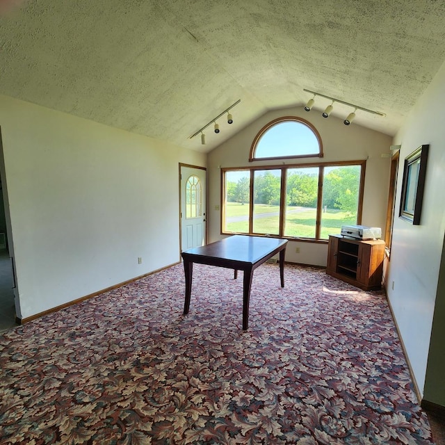 1932 N 2653rd Rd, Ottawa, IL 61350 - recreation room featuring carpet floors, lofted ceiling, and a textured ceiling