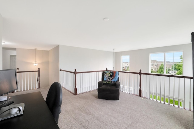 9054 Clinnin Ln, Huntley, IL 60142 - view of carpeted office space