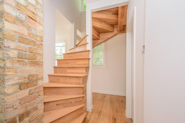 3818 N Hermitage Ave, Chicago, IL 60613 - photo 24