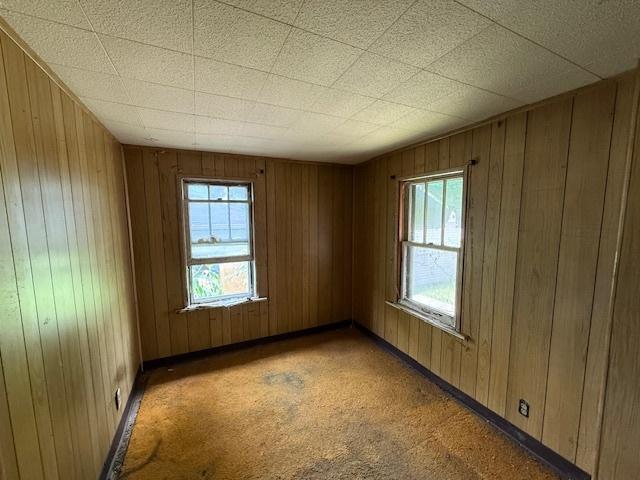 7806 S Avalon Ave, Chicago, IL 60619 - empty room featuring plenty of natural light, wood walls, and light colored carpet