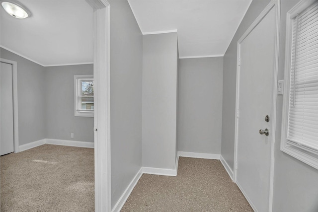 8107 S Princeton Ave, Chicago, IL 60620 - hallway featuring ornamental molding and carpet flooring