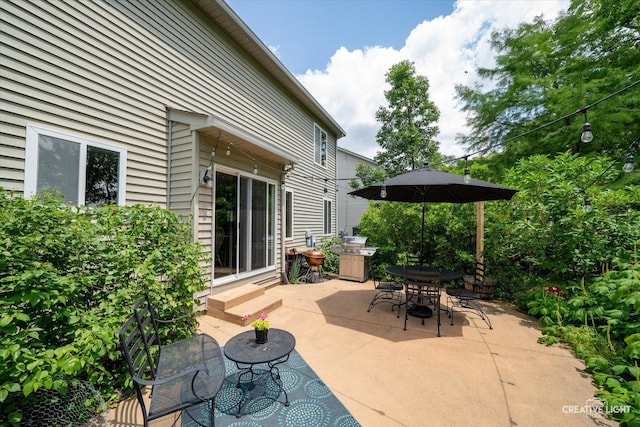 3402 Hoffman St, Plano, IL 60545 - view of patio / terrace with outdoor dining space