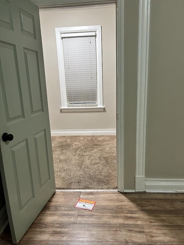 2122 N Lorel Ave, Chicago, IL 60639 - detailed view of carpet flooring and wood finished floors