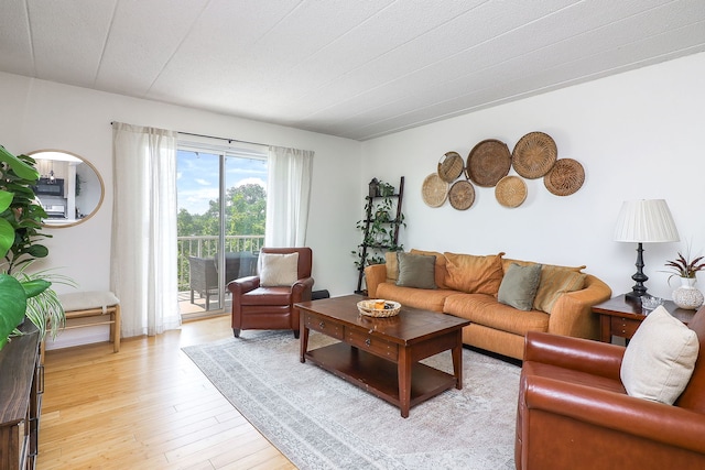 110 W Butterfield Rd Unit 503S, Elmhurst, IL 60126 - living room with light wood-style flooring